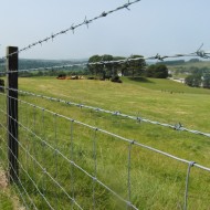 Fence with galvanised barb wire