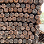 Creosoted timber stobs shown in a bundle